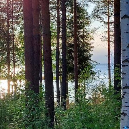 Pulla Karvisen Maatilamatkailussa Ruokola Extérieur photo